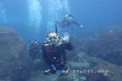 八丈島・水中 八丈島・水中