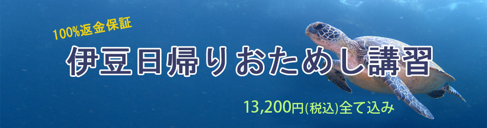 ダイビング おためし 講習 伊豆 日帰り